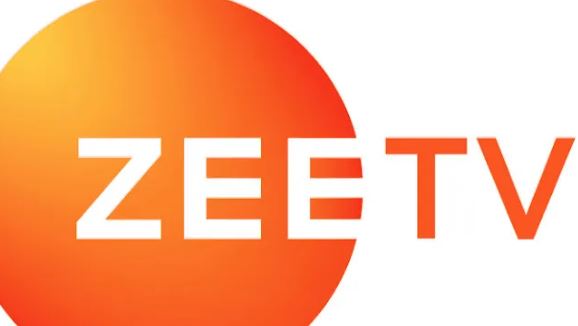 Zee Tv Net Worth & Earnings 