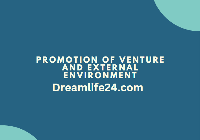 Promotion of Venture and External Environment